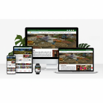 Custome NGO 2 Laravel Script